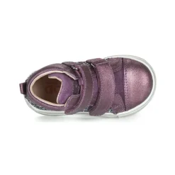 Acebo's - 5299AV-LILA-C