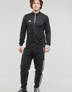 adidas Performance - SQ21 PRE PNT