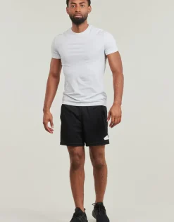 adidas Performance - Train Essentials Logo Training Shorts