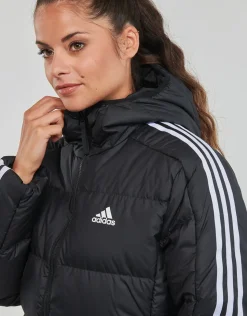 Adidas Sportswear - ESS M D HO J