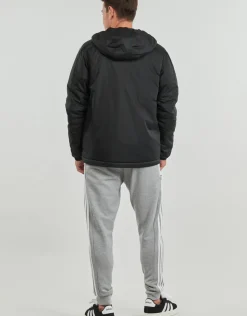Adidas Sportswear - Essentials 3-Stripes Insulated Hooded Jacket