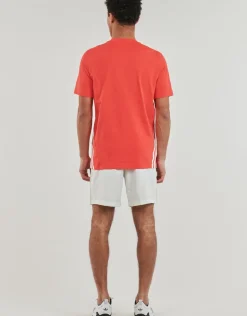 Adidas Sportswear - M FI 3S REG T