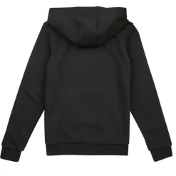 Adidas Sportswear - BL HOODIE