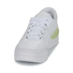Adidas Sportswear - COURT FUNK