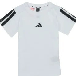 Adidas Sportswear - JD8164