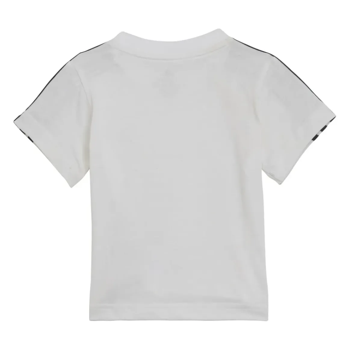 Adidas Sportswear - KAMELIO