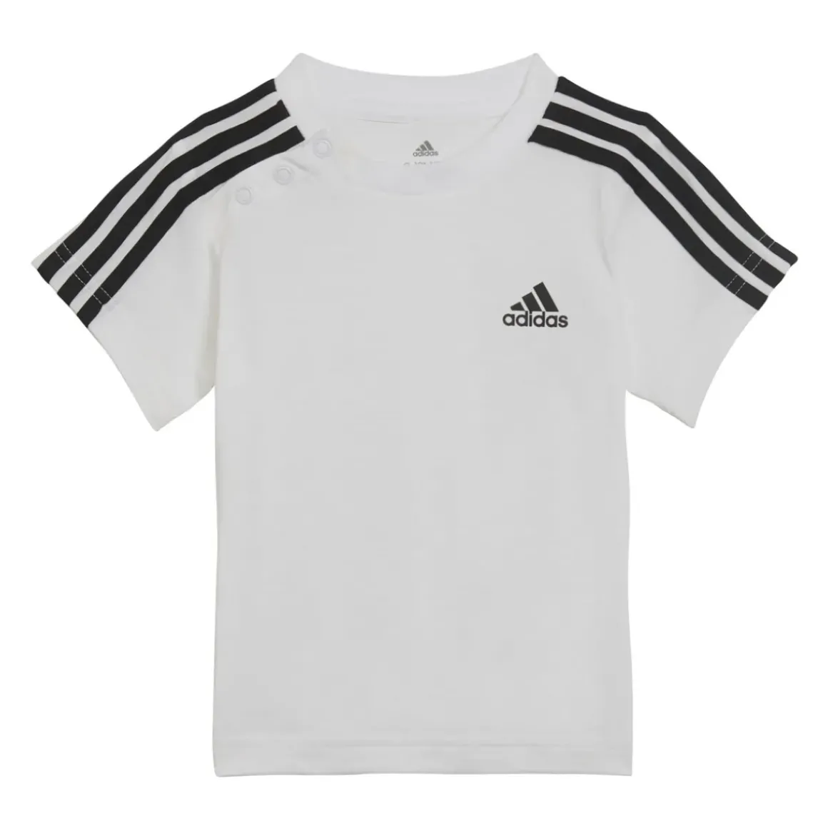 Adidas Sportswear - KAMELIO