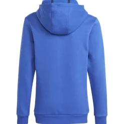 Adidas Sportswear - Tiberio 3-Stripes Colorblock Fleece Hoodie