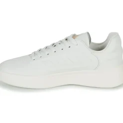 Adidas Sportswear - ZNTASY