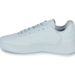 Adidas Sportswear - ZNTASY
