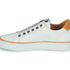 Adige - QUANTON4 V8