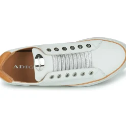 Adige - QUANTON4 V8
