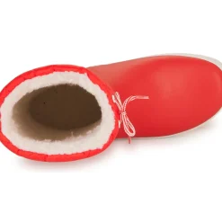 Aigle - GIBOULEE
