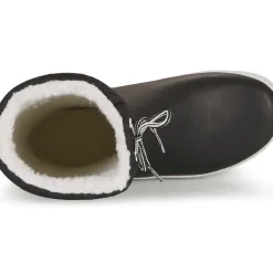 Aigle - GIBOULEE