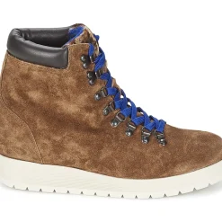 Alberto Gozzi - VELOUR MARRONE