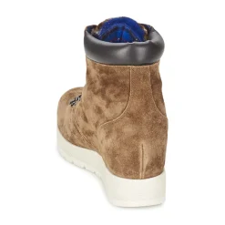 Alberto Gozzi - VELOUR MARRONE