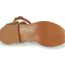 Ash - PLAY