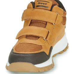 BEPPI - 2202041-CAMEL