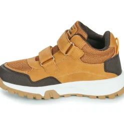 BEPPI - 2202041-CAMEL