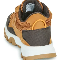 BEPPI - 2202041-CAMEL