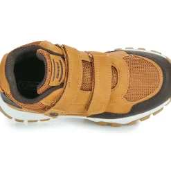BEPPI - 2202041-CAMEL