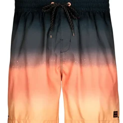 Billabong - ALL DAY FADE LB