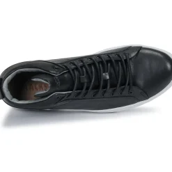 Blackstone - SG29