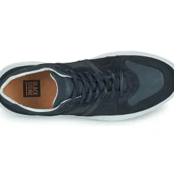 Blackstone - WG70