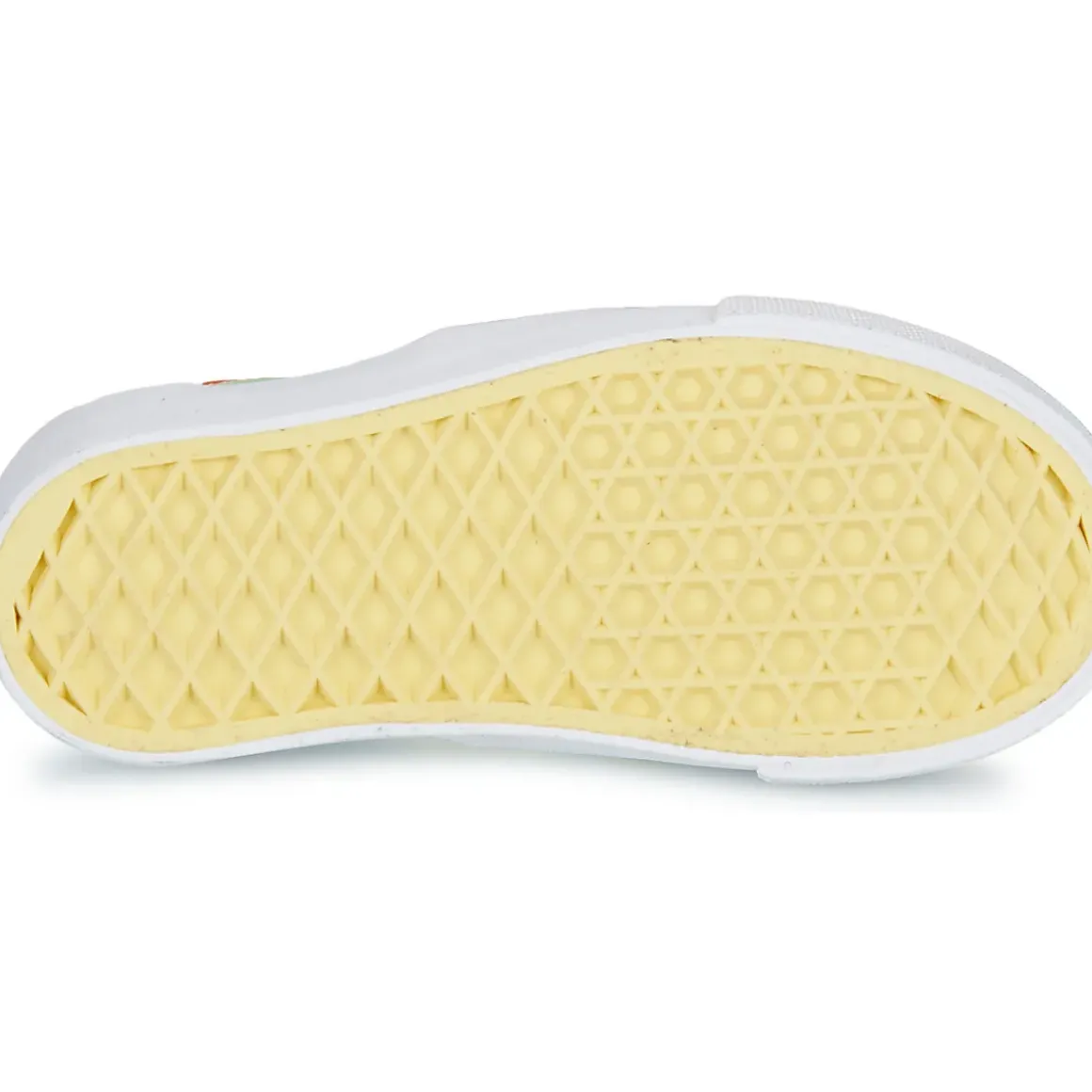 Bonton - SKATE ELAST
