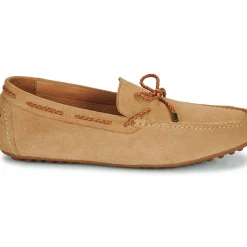 Brett & Sons - 4389-VEL-BEGE-