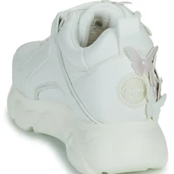 Buffalo - CLD CORIN BUTTERFLY