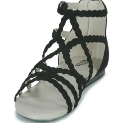 Bullboxer - AED070