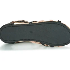 Bullboxer - AED009