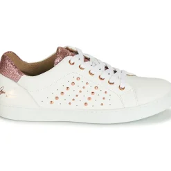 Bullboxer - AGM008