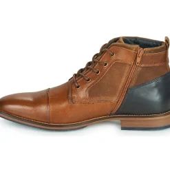 Bullboxer - BENN