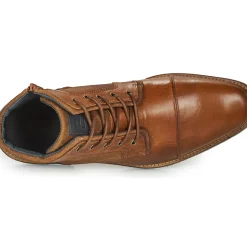 Bullboxer - BENN