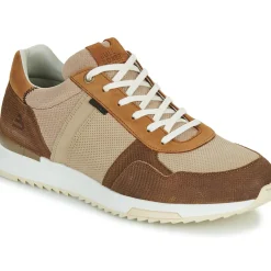Bullboxer - DEAN CUP LOW M