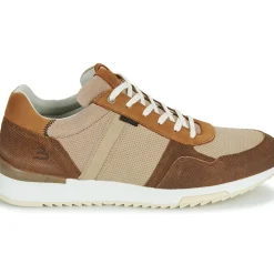 Bullboxer - DEAN CUP LOW M