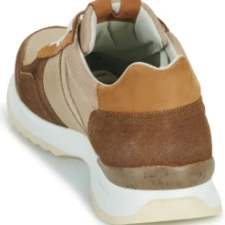Bullboxer - DEAN CUP LOW M