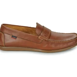 CallagHan - Seaport Jacinto