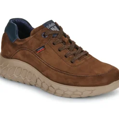 CallagHan - SUV CRO