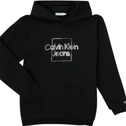 Calvin Klein Jeans - METALLIC BOX LOGO RELAXED HOODIE