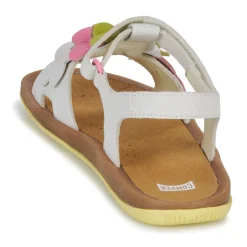 Camper - TWSS