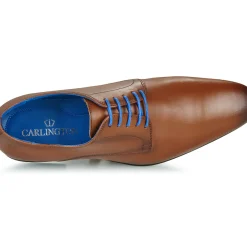 Carlington - EMRON