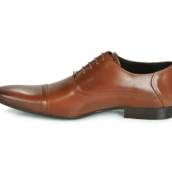 Carlington - ETIPIQ