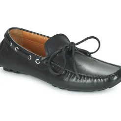 Carlington - JEAN