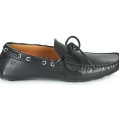 Carlington - JEAN