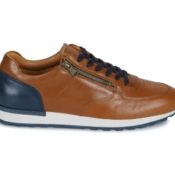 Casual Attitude - BILANO