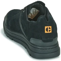 Caterpillar - CITE LOW