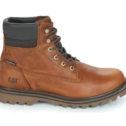 Caterpillar - DEPLETE WP